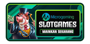 MICRO GAMING